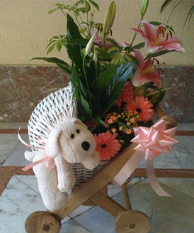 Una canastilla original y divertida con la que siempre acertars.
Su singularidad est en la cesta contenedora de madera y mimbre con forma de carrito para bebs.
La canastilla incluye:<br>
- Cesta contenedora en forma de carrito <br>
- Plantas variadas y flor cortada<br>
- Un divertido peluche<br>
-  Podrs elegir entre los colores azul, rosa o neutro<br>