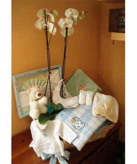 Nuestra canastilla ms completa es el regalo ideal para la madre y el beb.
Cuenta con una planta de orqudea de dos ramas y numerosos artculos para el recin nacido.
La canastilla incluye:<br>
- Un juego de sbanas de cuna de algodn<br>
- Una manta para el beb<br>
- Patucos<br>
- Capa-toalla de bao<br>
- Dos baberos<br>
- Un pijama<br>
- Un traje de perl<br>
- Un peluche<br>
- Disponible en azul, rosa o neutro<br>
