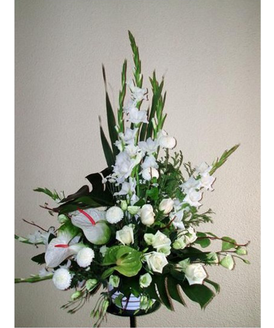 Un regalo muy elegante perfecto para decorar la estancia del hospital o del propio hogar.
Este centro incluye:<br>
- Anturios<br>
- Gladiolos<br>
- Rosas<br>
- Otras flores de color blanco<br>
