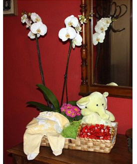 Una canastilla perfecta para ese momento tan especial.
La canastilla incluye:<br>
- Una orqudea con dos ramas<br>
- Planta de flor<br>
- Un traje de perl de temporada<br>
- Un divertido peluche<br>
- Una caja de bombones<br>
- Disponble en azul, rosa o neutro<br>