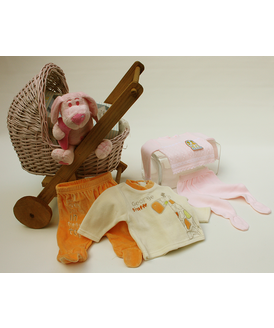 Una divertida y original canastilla con forma de carricoche realizada en madera y mimbre.
La canastilla incluye:<br>
- Cesta con forma de carricoche<br>
- Un traje de perl<br>
- Un pijama<br>
- Un simptico peluche<br>
- A elegir entre los colores azul, rosa o neutro<br>