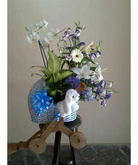 Una bonita y singular canastilla con forma de carricoche realizado en madera y mimbre, con la que seguro dars ese toque original a tu regalo.
La canastilla incluye:<br>
- Cesta contenedora en forma de carricoche<br>
- Plantas variadas y detalle de flor cortada.<br>
- Un divertido peluche<br>