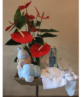 Una canastilla muy completa para el recin nacido con ese bonito toque de color que dan las flores de anturio.
La cesta inlcuye:<br>
- Un peluche con mantita<br>
- Un set de aseo<br>
- Un traje de perl<br>
- Un pijama<br>
- Unos patucos para el beb<br>
- Una flor de anturio que siempre da un bonito toque de color<br>
- A elegir entre los colores azul, rosa o neutro<br>