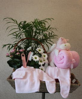 Una monada de canastilla con la que quedars muy bien. Adems viene decorada con un bonito conjunto de flores y plantas que alegrn cualquier estancia.
La canastilla incuye:<br>
- Plantas variadas<br>
- Un peluche<br>
- Una mantita para el recin nacido<br>
- A elegir entre un traje de perl o dos pijamas para el beb<br>
- Disponible en los colores azul, rosa o neutro<br>